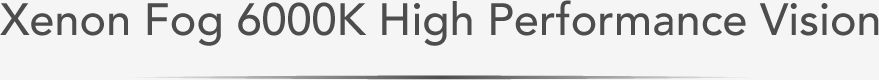 Xenon Fog 6000K High Performance Vision